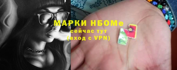 прущие грибы Бородино