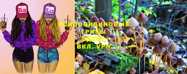 прущие грибы Вязники