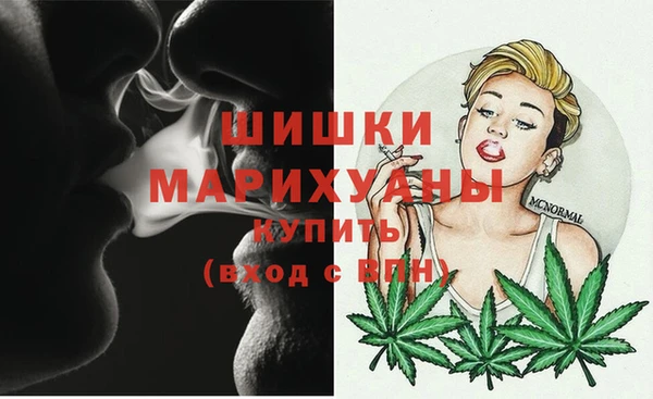 дурь Надым