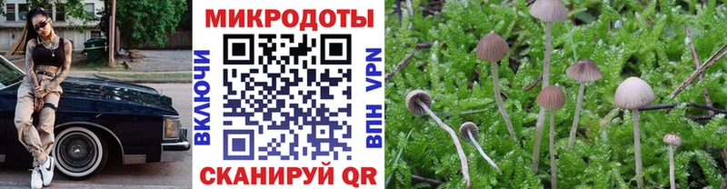 MEGA рабочий сайт  Кораблино  сайты даркнета официальный сайт  Псилоцибиновые грибы Psilocybe 