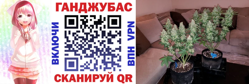 Бошки Шишки THC 21%  купить наркоту  Кораблино 